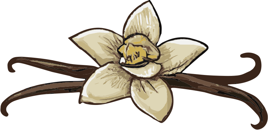 VANILLA flavor logo